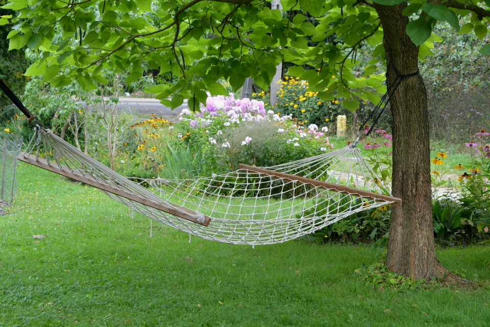 Backyard Hammock